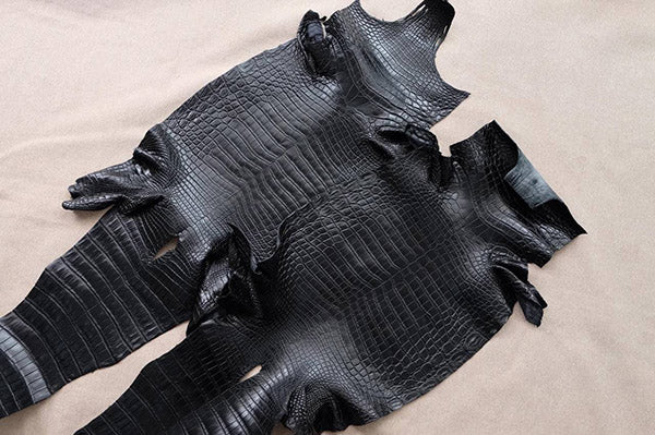alligator leather 